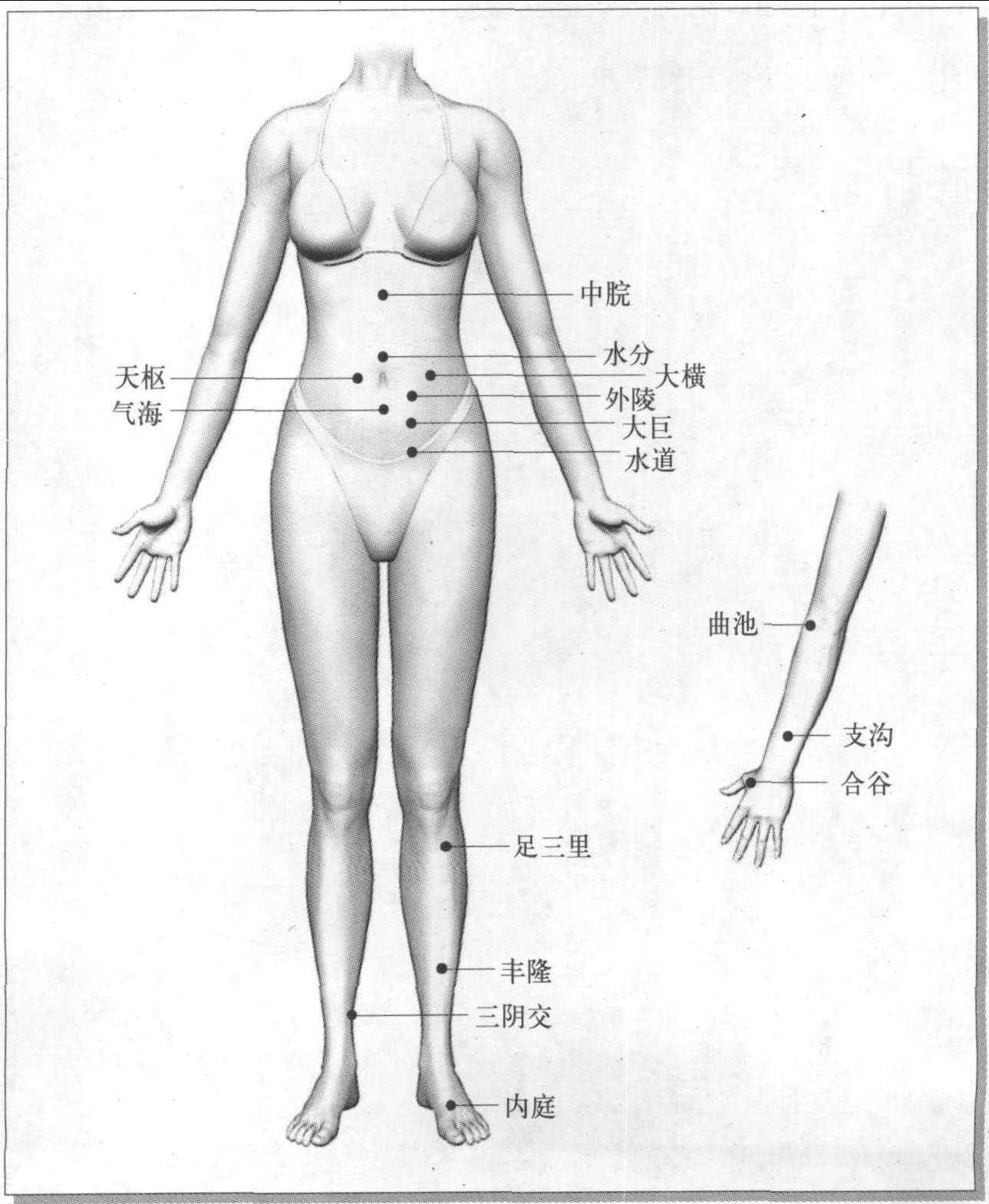 第一節(jié) 毫針法減肥操作